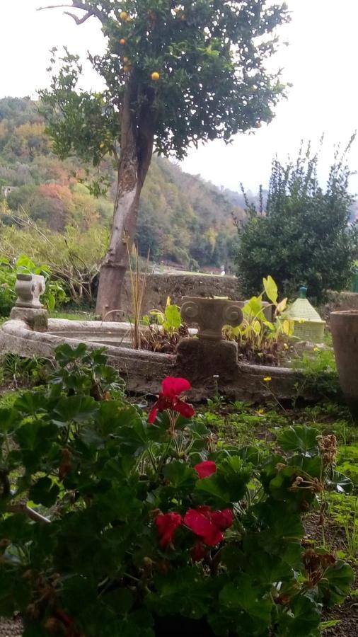 مبيت وإفطار Vietri L'Antico Giardino المظهر الخارجي الصورة