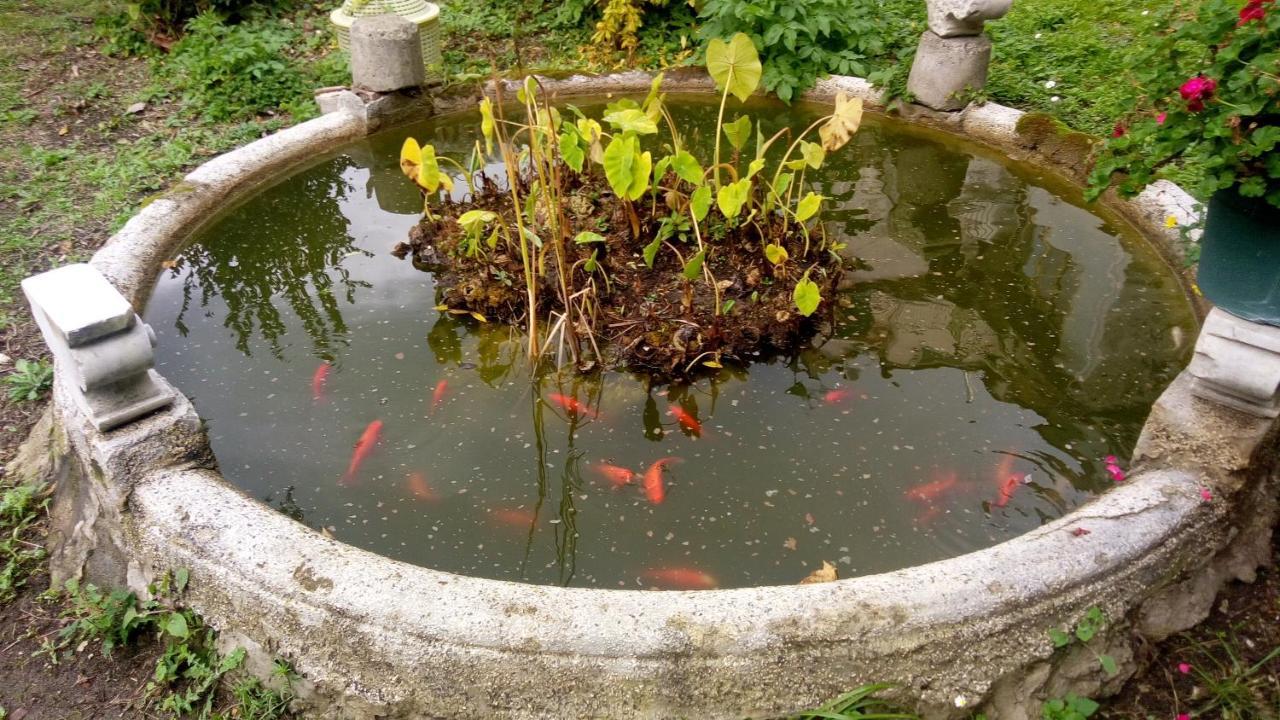 مبيت وإفطار Vietri L'Antico Giardino المظهر الخارجي الصورة